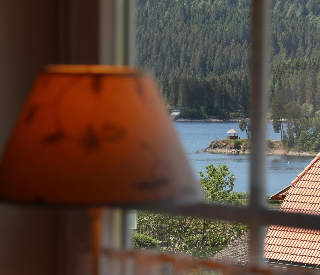 Landhaus-vintage Fe-wo-apartment 5 Apartment Schluchsee